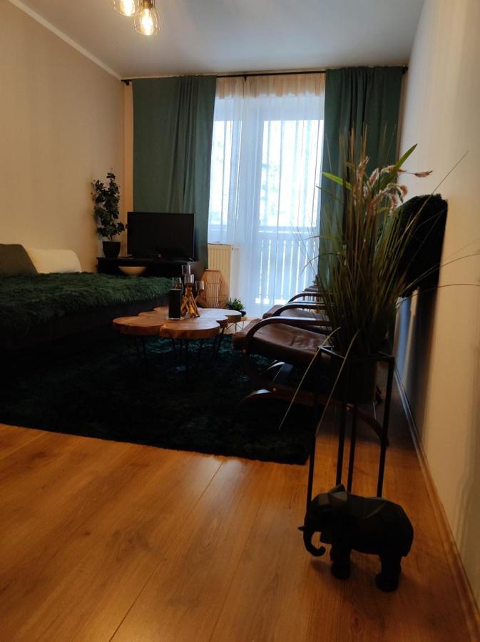 Ski Apartman Sajmon So Saunou Makov Luaran gambar