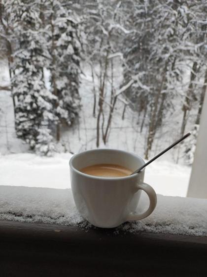 Ski Apartman Sajmon So Saunou Makov Luaran gambar